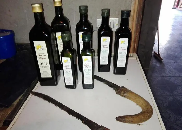 Rustikale Eleganz Mit Blick Auf Umbrische Landschaft By Interhome アパート *