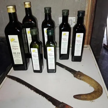 Rustikale Eleganz Mit Blick Auf Umbrische Landschaft By Interhome Daire *