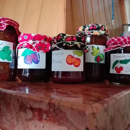 Apartamento Rustikale Eleganz Mit Blick Auf Umbrische Landschaft By Interhome