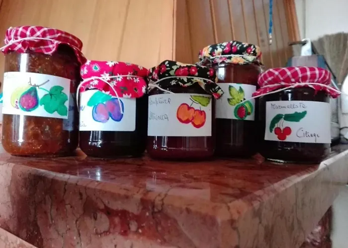 Daire Rustikale Eleganz Mit Blick Auf Umbrische Landschaft By Interhome